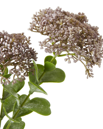 Purple Sedum Spray