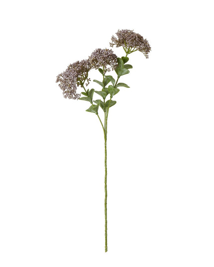 Purple Sedum Spray