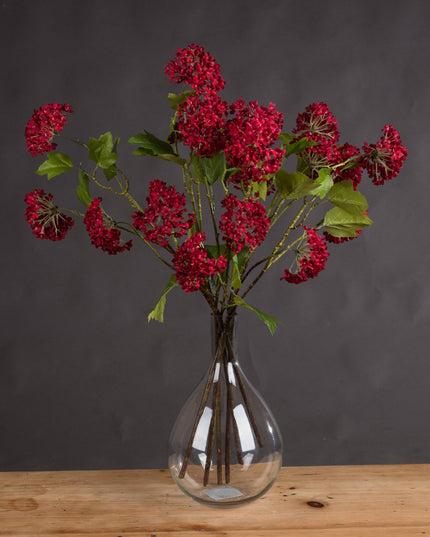 Red Autumnal Viburnum