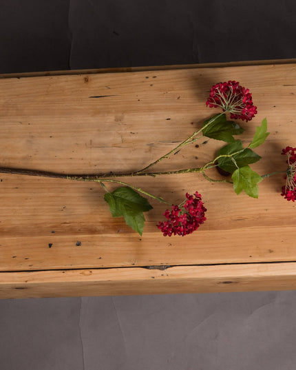 Red Autumnal Viburnum