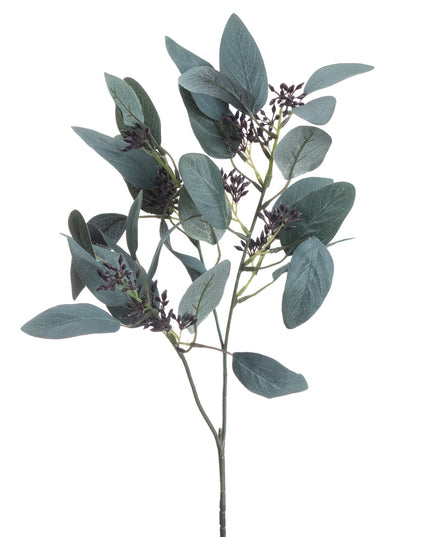 Seeded Eucalyptus Stem