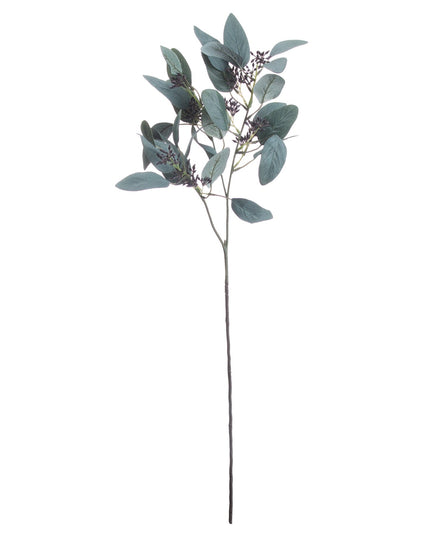 Seeded Eucalyptus Stem