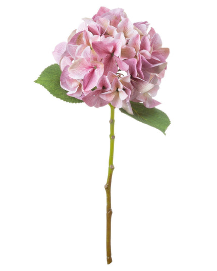 Shabby Pink Single Hydrangea