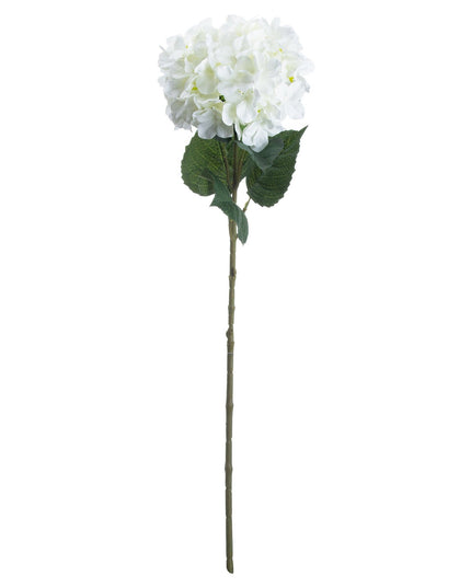 Single White Hydrangea