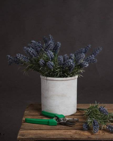 Small Lavender Spray