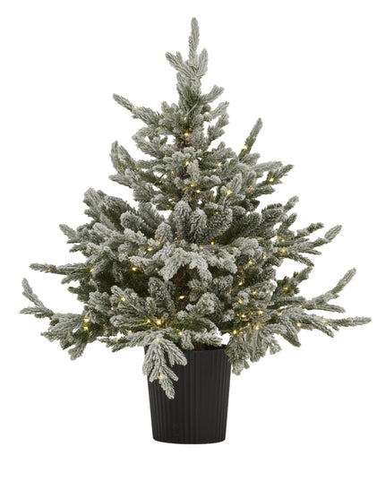 Snowy Forest Fir Pre-Lit Led 300L Christmas Tree In Pot