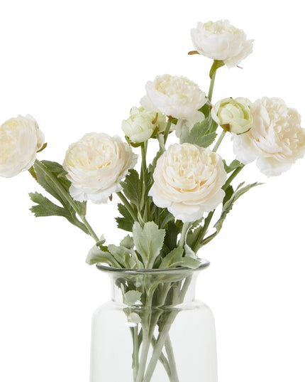 The Natural Garden Collection Apricot Ranunculus