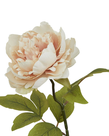 The Natural Garden Collection Blush Peony