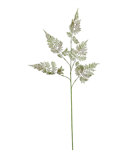 The Natural Garden Collection Large Bracken Fern Spray