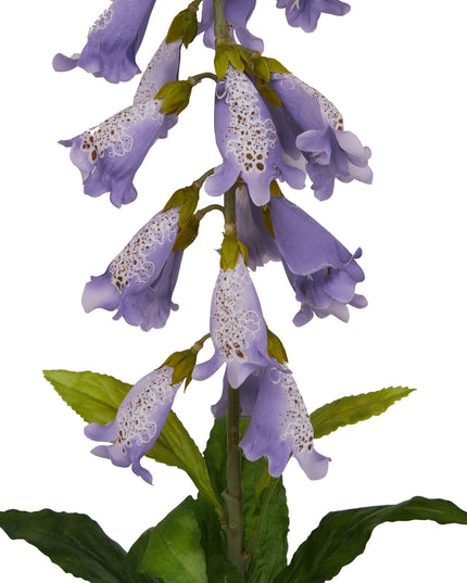 The Natural Garden Collection Mauve Foxglove