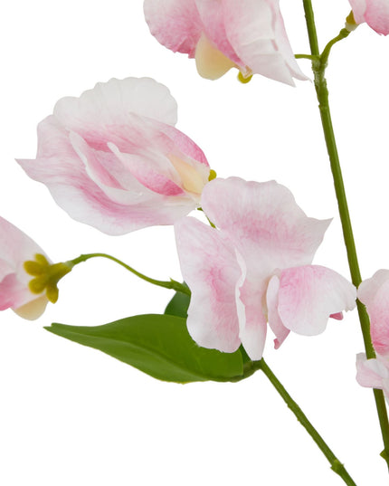 The Natural Garden Collection Pale Pink Sweetpea Stem