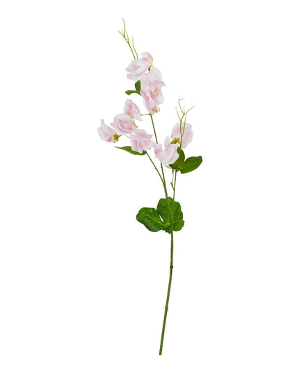 The Natural Garden Collection Pale Pink Sweetpea Stem