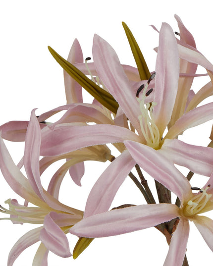 The Natural Garden Collection Pink Lily Stem
