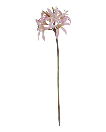 The Natural Garden Collection Pink Lily Stem