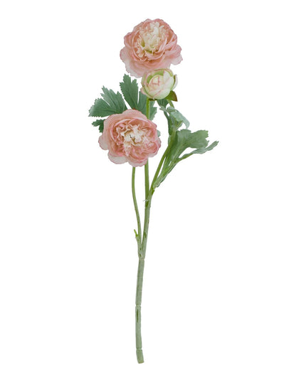 The Natural Garden Collection Pink Ranunculus