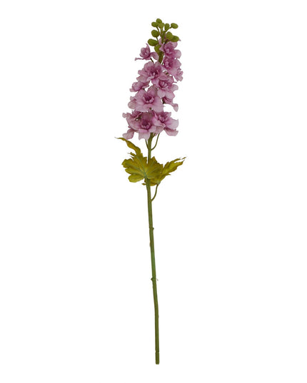 The Natural Garden Collection Purple Elatum Delphinium