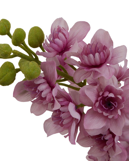 The Natural Garden Collection Purple Elatum Delphinium