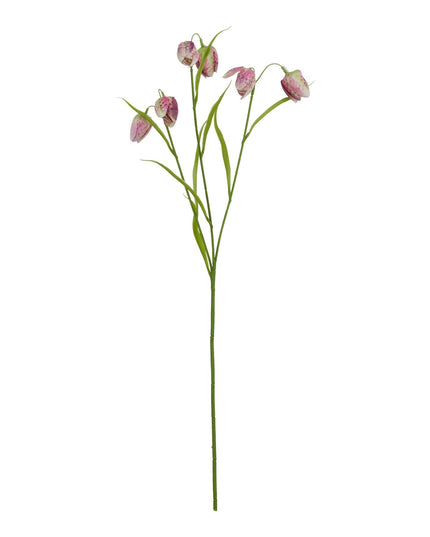 The Natural Garden Collection Purple Fritillaria Stem