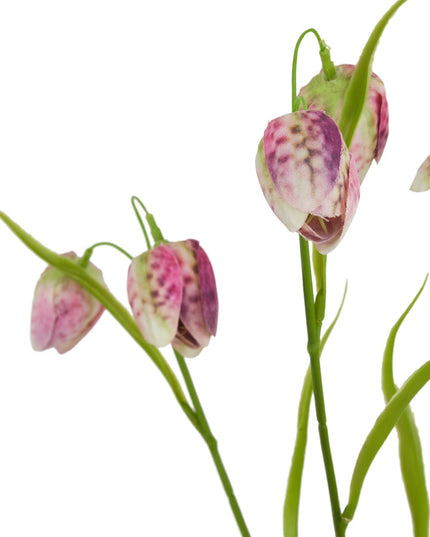 The Natural Garden Collection Purple Fritillaria Stem