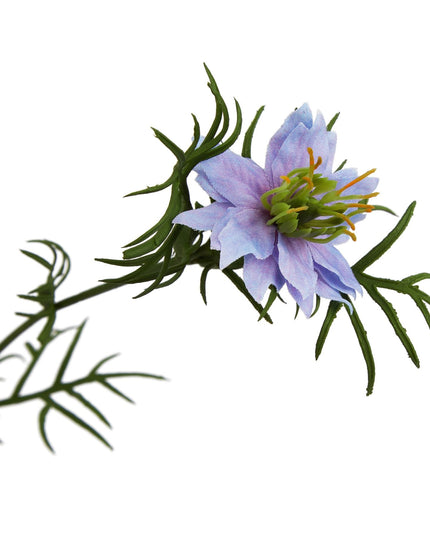 The Natural Garden Collection Purple Nigella Love In A Mist