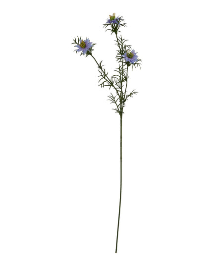 The Natural Garden Collection Purple Nigella Love In A Mist