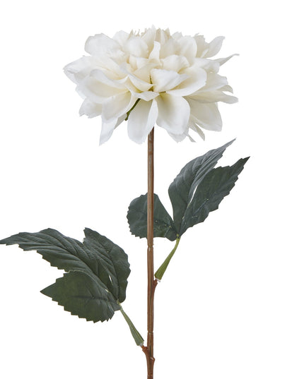 The Natural Garden Collection Tall White Dahlia