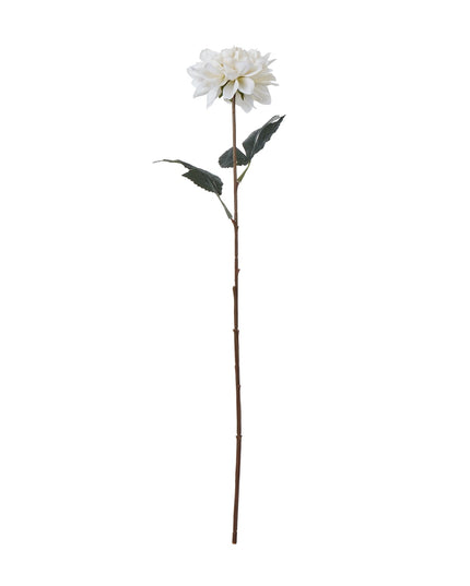 The Natural Garden Collection Tall White Dahlia