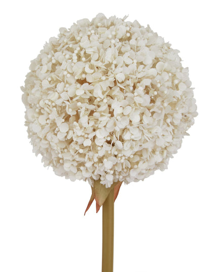 The Natural Garden Collection White Allium