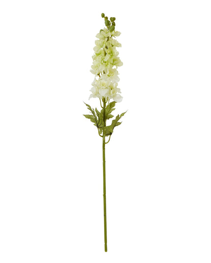 The Natural Garden Collection White Elatum Delphinium
