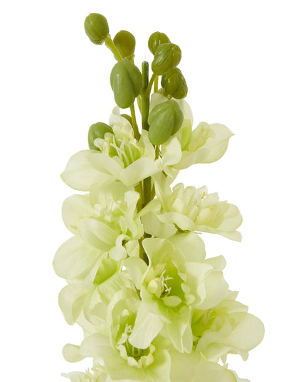 The Natural Garden Collection White Elatum Delphinium