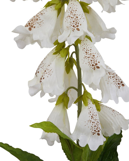 The Natural Garden Collection White Foxglove