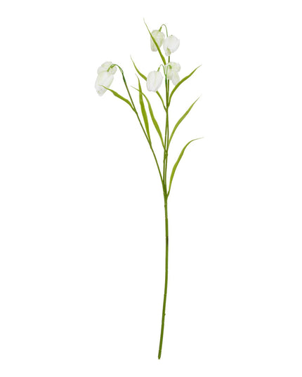 The Natural Garden Collection White Fritillaria Stem