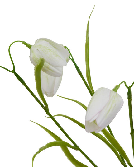The Natural Garden Collection White Fritillaria Stem