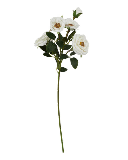 The Natural Garden Collection White Hedge Rose Stem