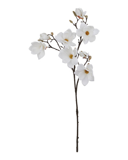 The Natural Garden Collection White Magnolia Stem