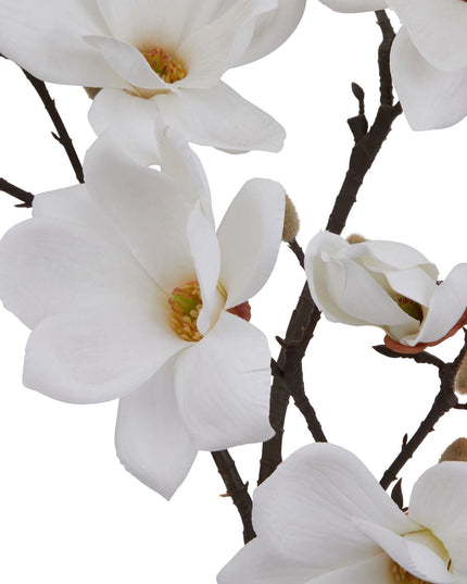 The Natural Garden Collection White Magnolia Stem