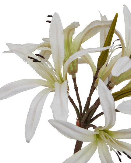 The Natural Garden Collection White Nerine Lily Stem