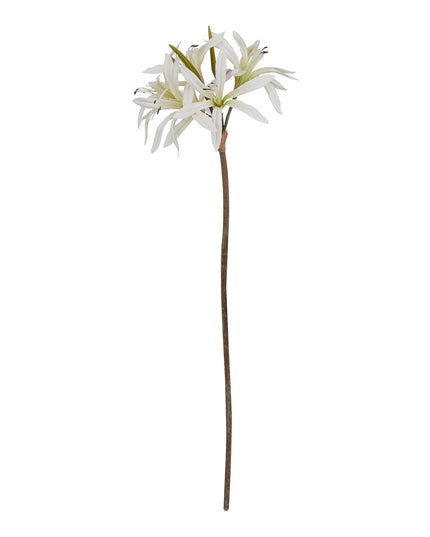 The Natural Garden Collection White Nerine Lily Stem