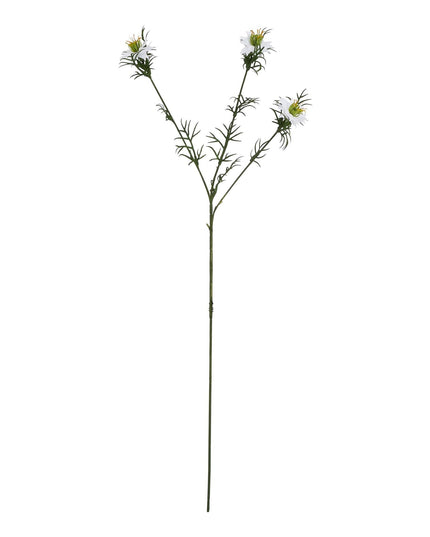 The Natural Garden Collection White Nigella Love In A Mist