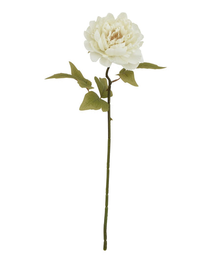 The Natural Garden Collection White Peony