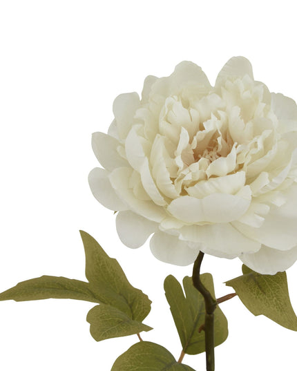 The Natural Garden Collection White Peony