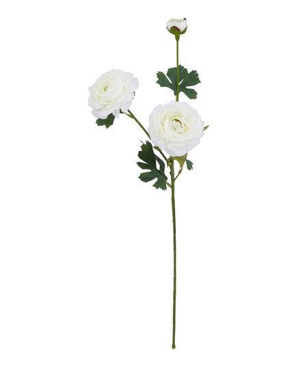 The Natural Garden Collection White Ranunculus