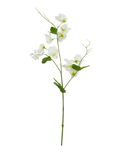 The Natural Garden Collection White Sweetpea Stem