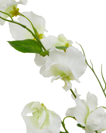 The Natural Garden Collection White Sweetpea Stem