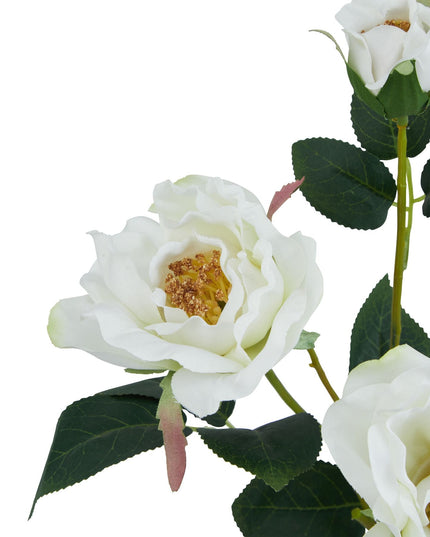 The Natural Garden Collection White Tea Rose
