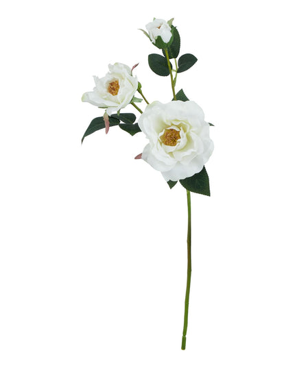 The Natural Garden Collection White Tea Rose