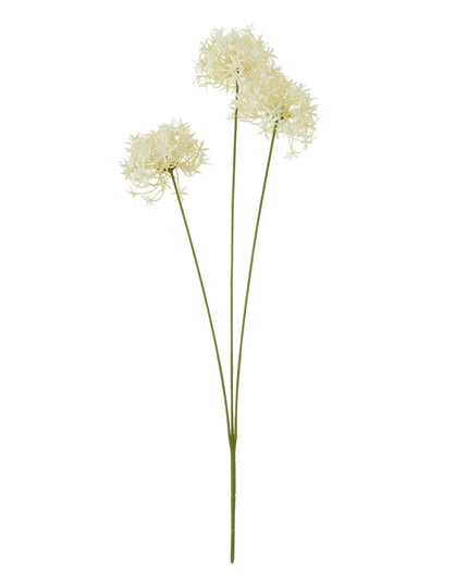 Three Head Cream Allium Spray