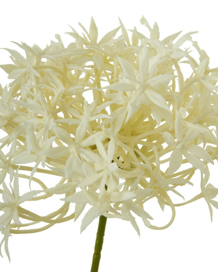 Three Head Cream Allium Spray