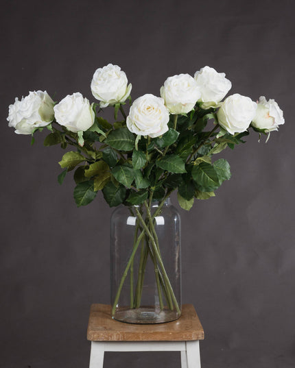 Traditional White Rose