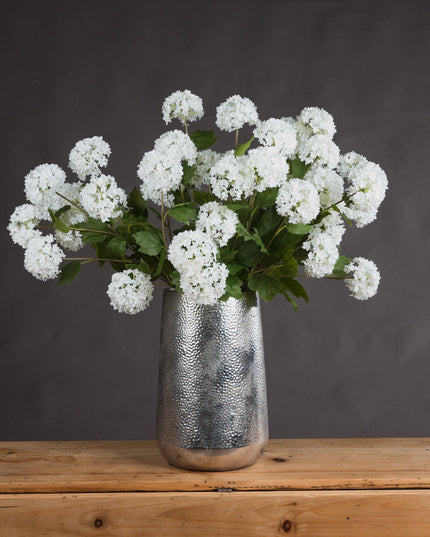 Viburnum Opulus